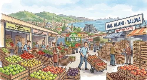 B�Z�M PAZAR 